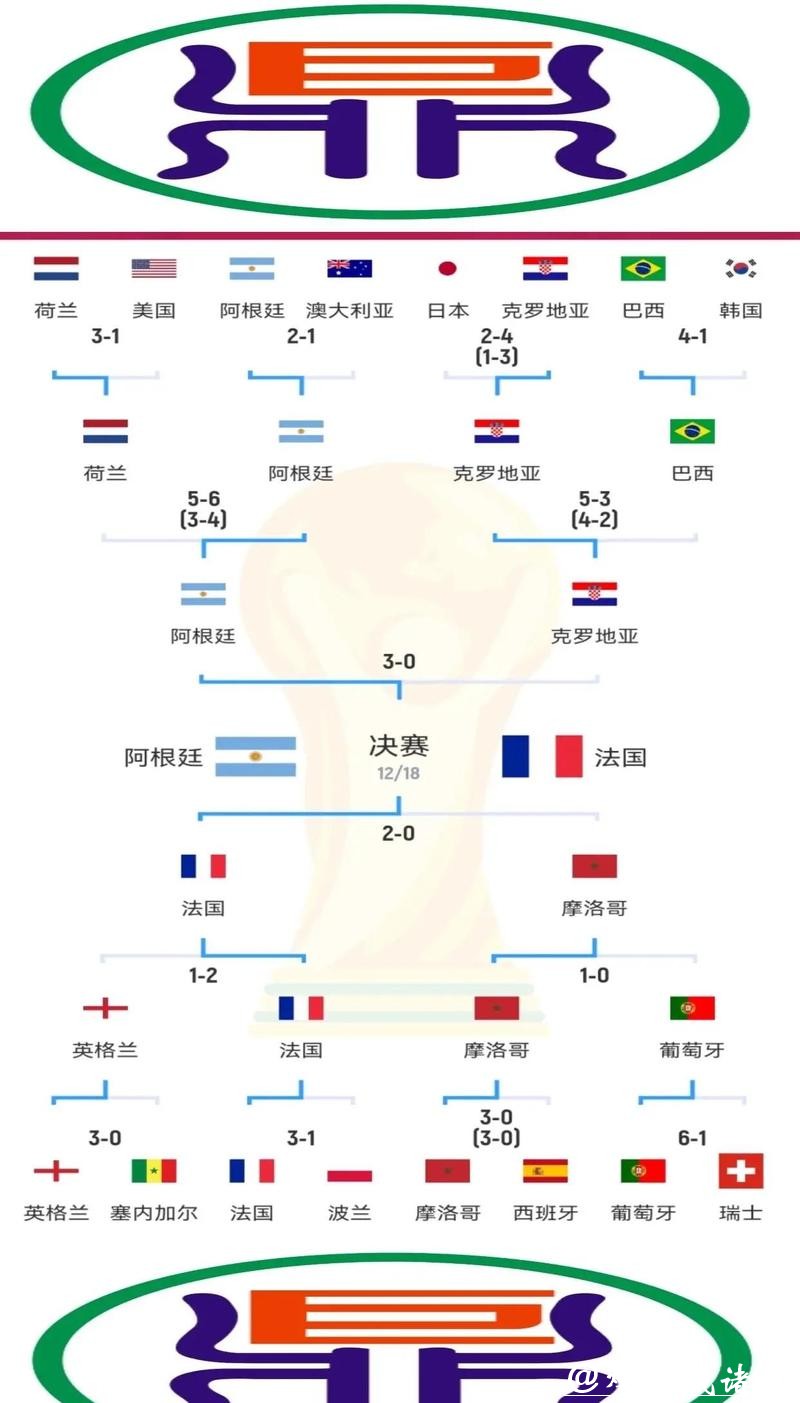 全面解析世界杯投注比例趋势